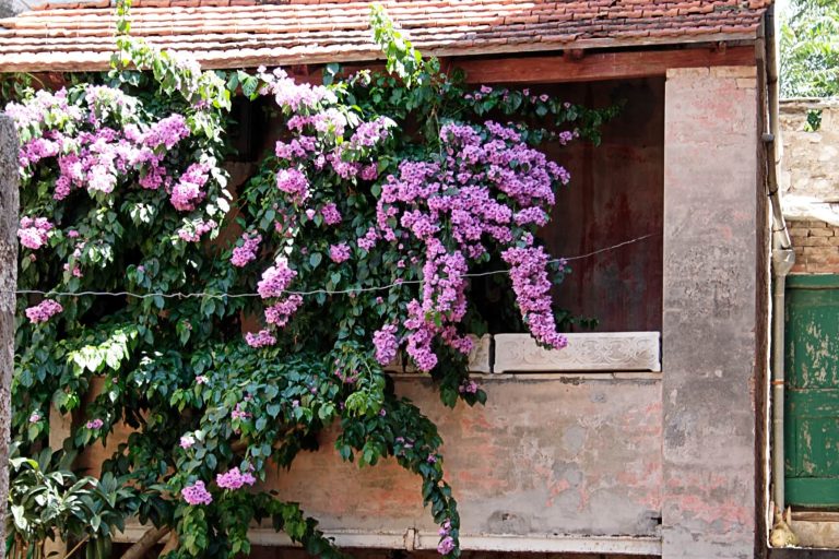 Ranking pomysłów na oryginalny balkon