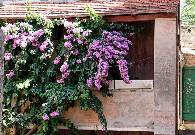 Ranking pomysłów na oryginalny balkon